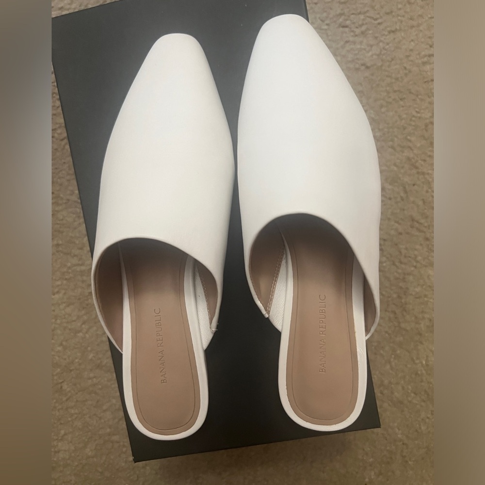 Banana Republic,flat close shoes,Used 1 time only